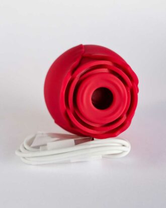 Rose Vibrator with charger